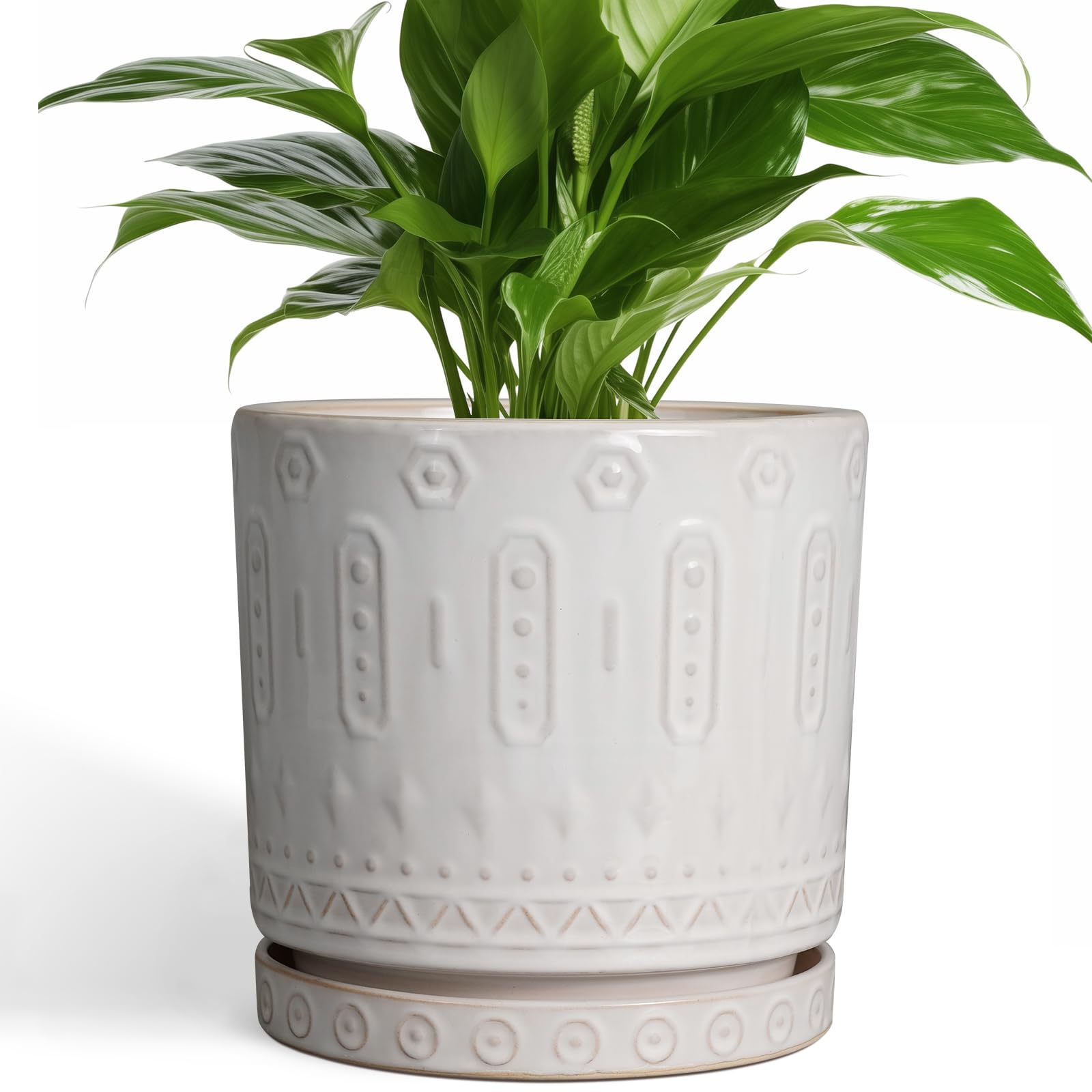 Amazon.com : Eightpot Ceramic Planter for Indoor Plants - 8 Inch